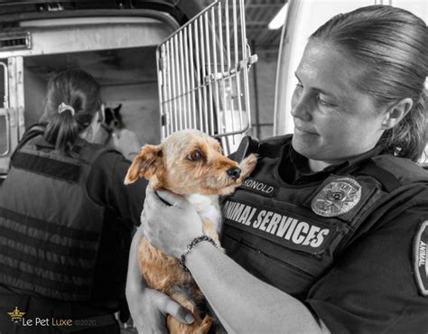 Animal control indianapolis - and last updated 8:25 PM, Dec 23, 2015. INDIANAPOLIS -- Upton’s Famous Pet Training Center has filed a lawsuit against the City of Indianapolis and Indianapolis Animal Care and Control alleging dozens of dogs were unlawfully seized during a November 5 raid. The lawsuit, filed in the United States District Court Southern District, …